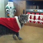 Buster 2014 Happy Holidays