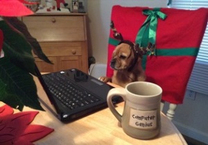 Holiday Greetings from Waffles 2013